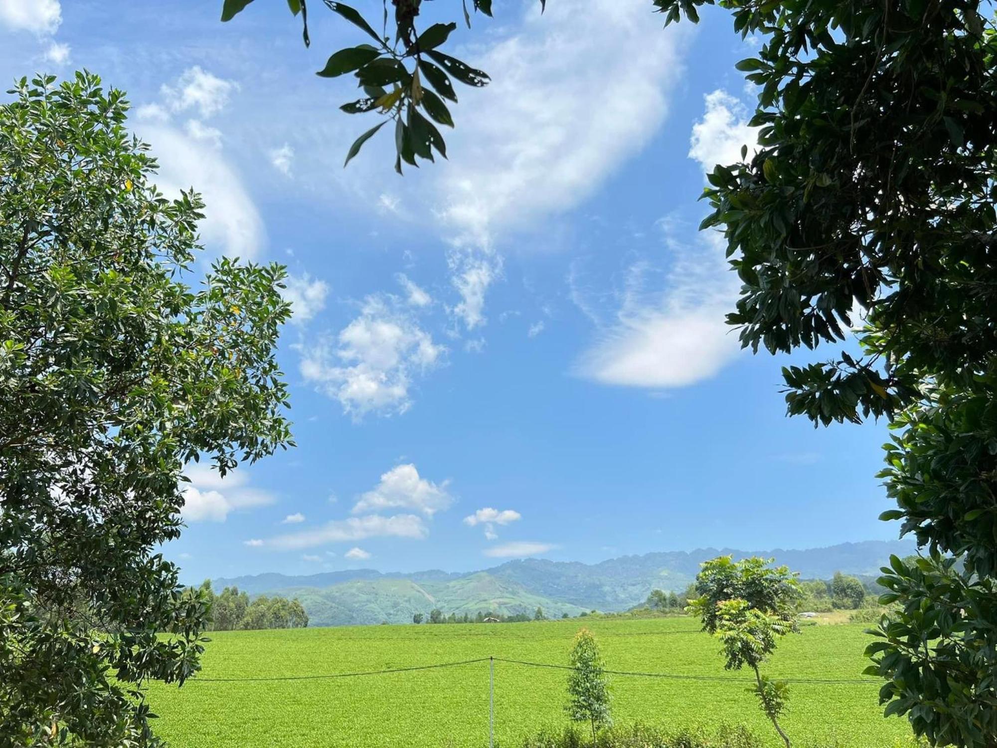 Happy Homestay Nghia Lo Exterior photo