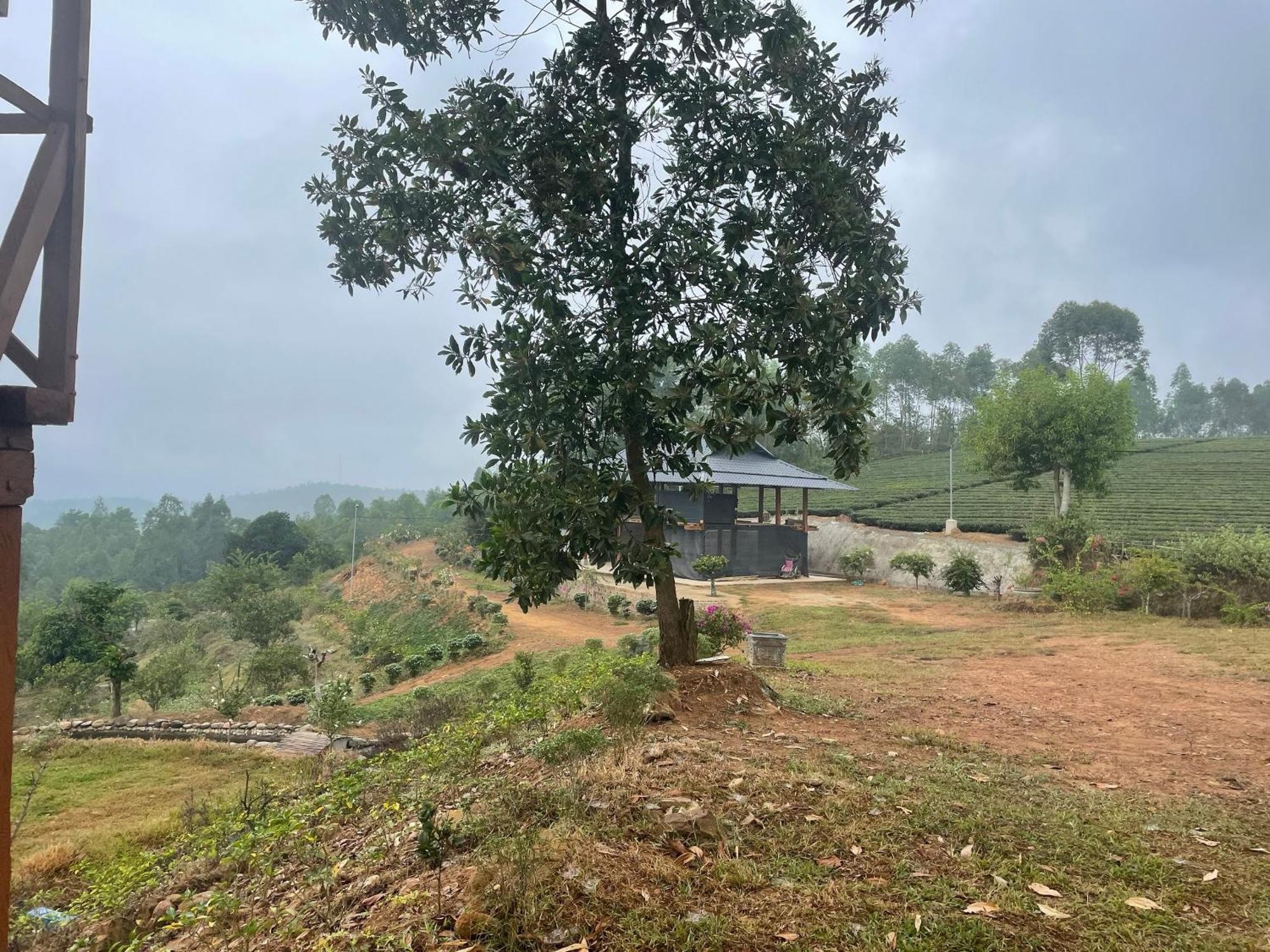 Happy Homestay Nghia Lo Exterior photo